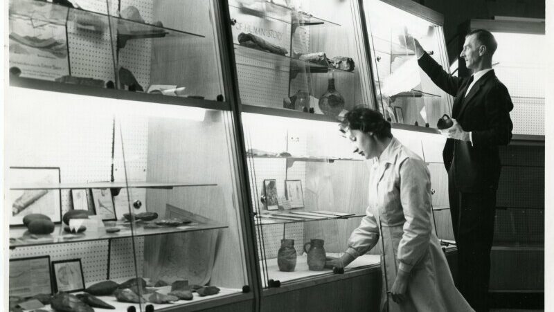 A black and white photograph of a man and a woman, presumably members of library staff, arranging a display of archaeological artefacts in glass cases. In the bottom left case stone tool artefacts from the collection of Joseph Exall Greenhill can be seen.