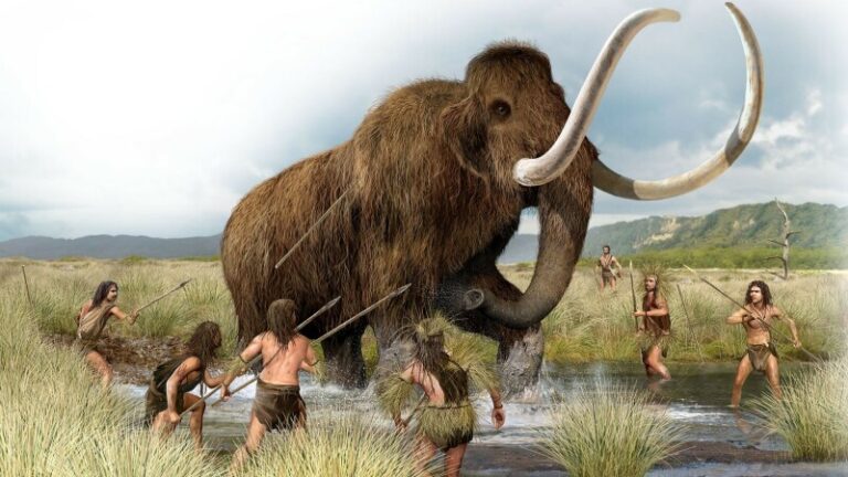 An artist's reconstruction of a prehistoric mammoth hunting scene. Six human figures wearing furs and grasses are surrounding a mammoth holding spears.