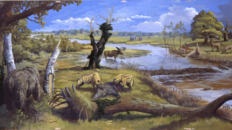 Painting showing a prehistoric landscape. Several animals are shown, including a bear, hyenas, and in the distance straight-tusked elephants.
